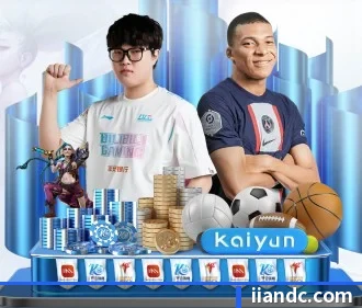 星空网页版官方网站 APP